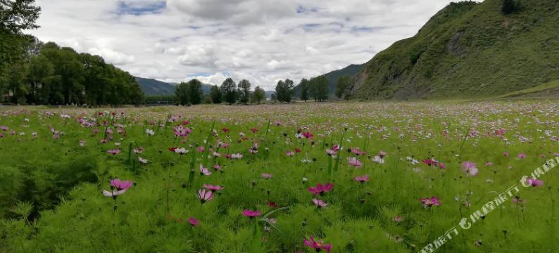 康定秋珠客栈图片