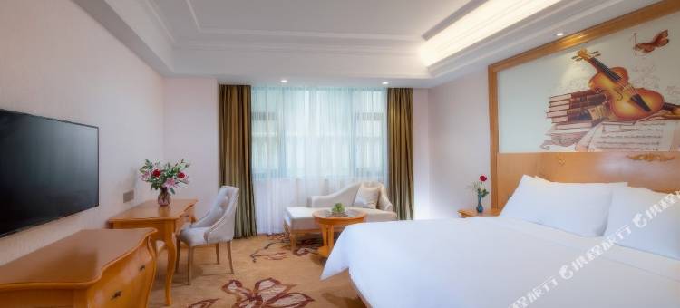 维也纳酒店(桂林资源城中店)图片