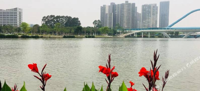 2513服务公寓(广州南沙万达广场店)图片