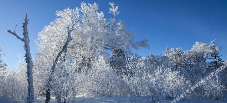 北大湖星空营酒店图片