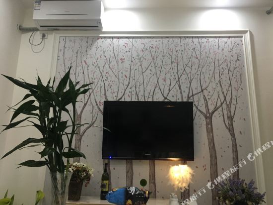 绵阳张大大公寓