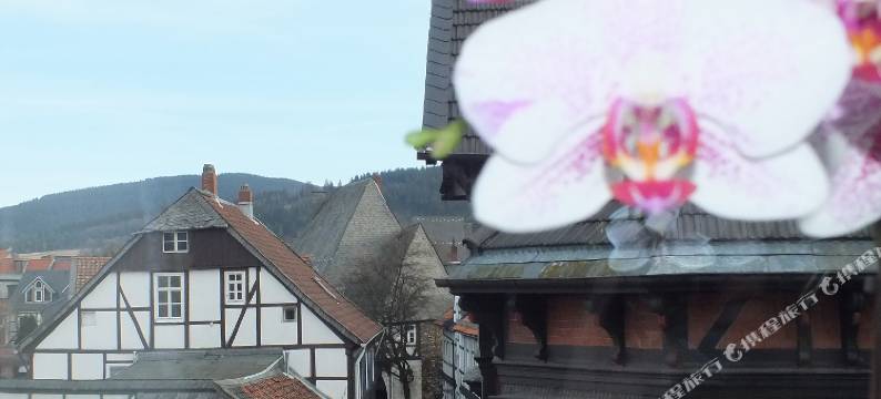 恩佐之家出租公寓(Trattoria & Apartments - Casa da Enzo)图片