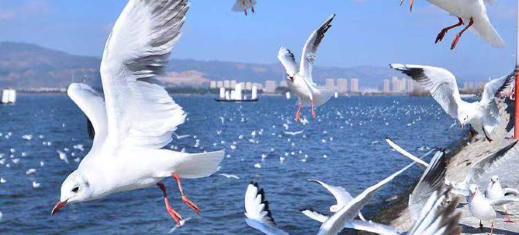 维也纳国际酒店(昆明广福路爱琴海购物公园店)图片