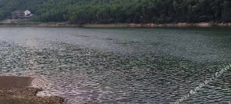 长兴塔前农家乐图片