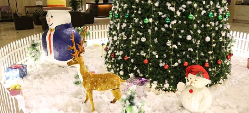 雄伟壮观芒街酒店(Majestic Mong Cai Hotel)图片