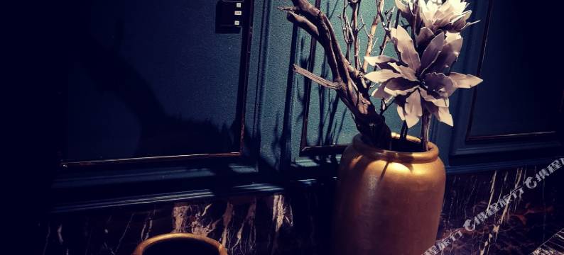 乌鲁木齐维多利亚星舟酒店图片