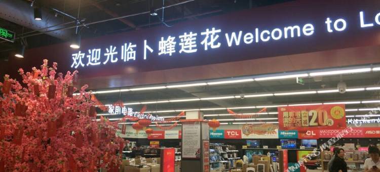 阳江宜家紫荆花酒店(新达城店)图片