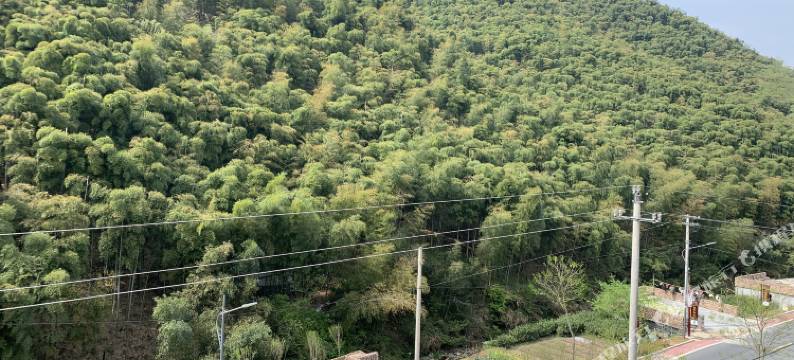 安吉旭竹山庄图片