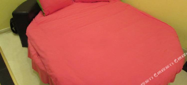 沈阳梧桐树主题宾馆图片