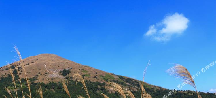 麗枫酒店(惠州新圩政府广场店)图片