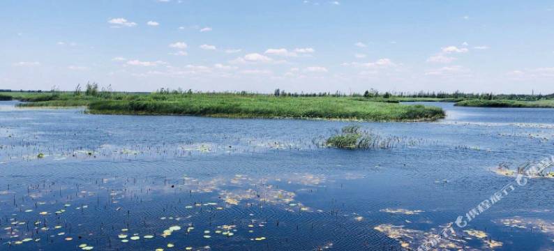 白洋淀艳梅农家院图片