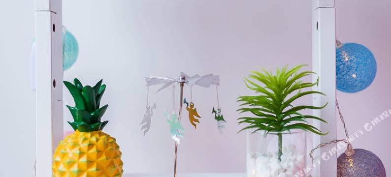 舒雨绮公寓(南京2号店)图片