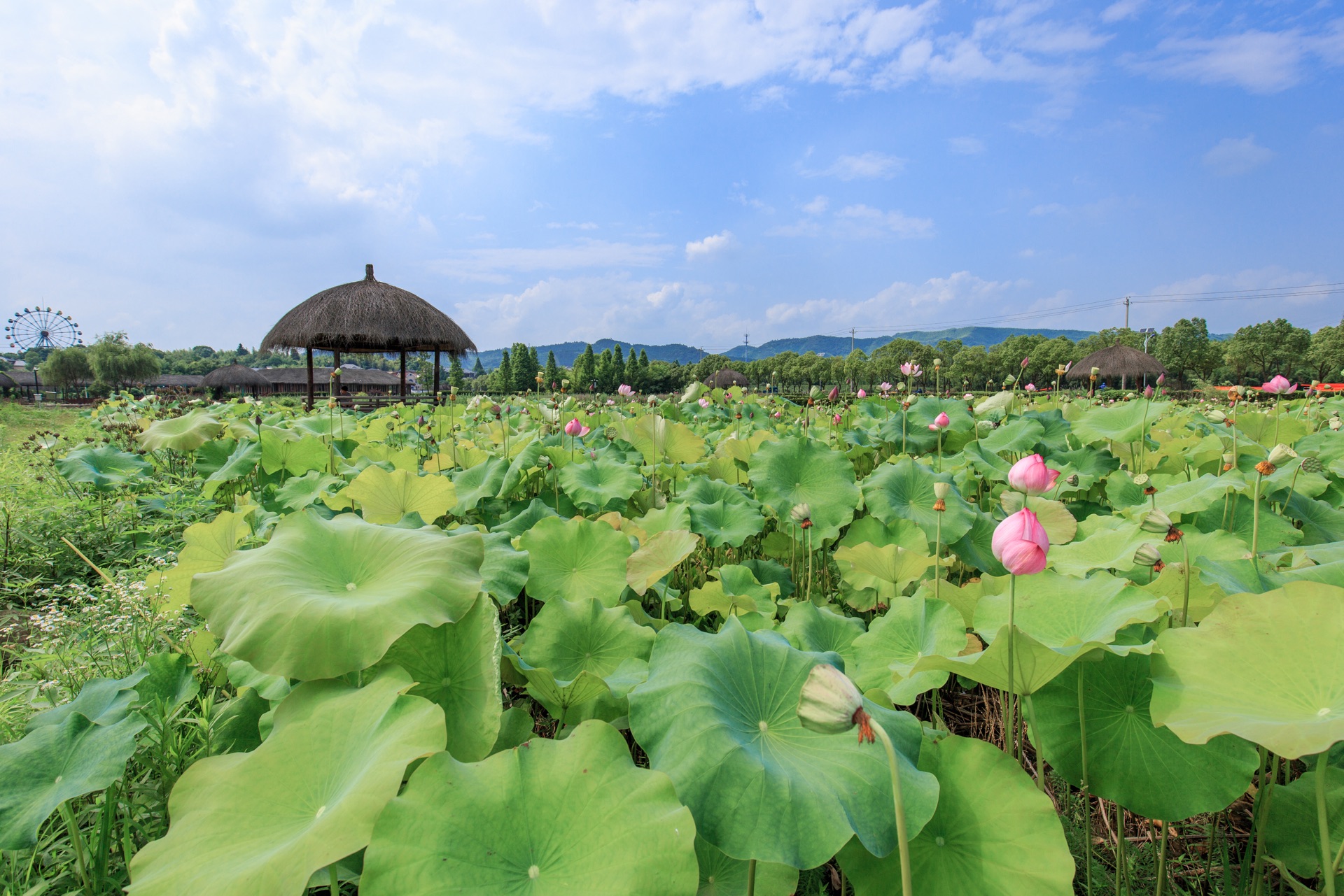 Yunmanju Guesthouse Over view
