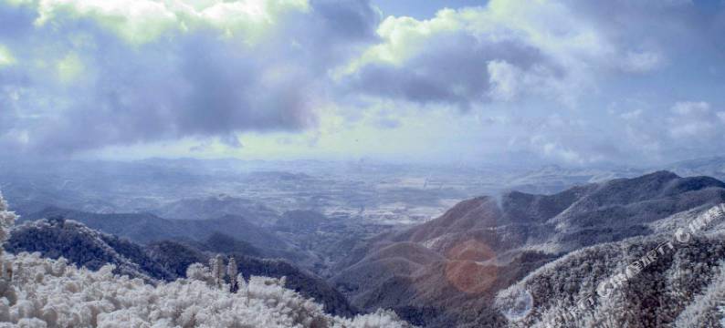 莫干山紫轩山居图片