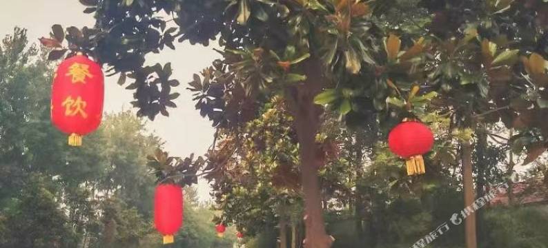 盱眙苏卫农家乐图片