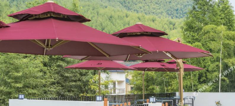 柴屿家CVIVI ' 莫干山萌宠庭院亲子度假美宿丨无敌可爱的胖胖柴犬图片