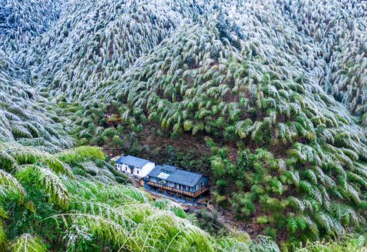 衢州抱山书院主题民宿外景图