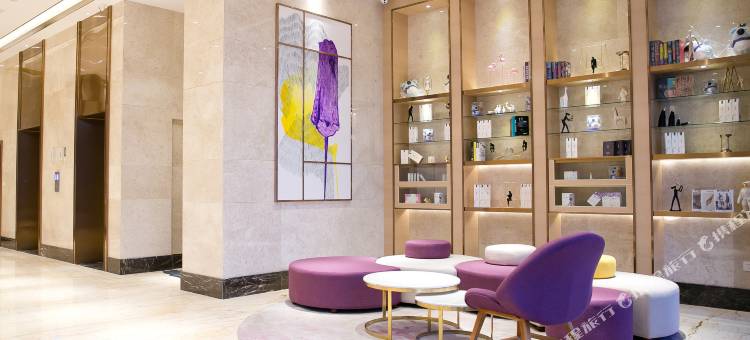 麗枫酒店(深圳坪山高铁站龙东地铁站店)图片