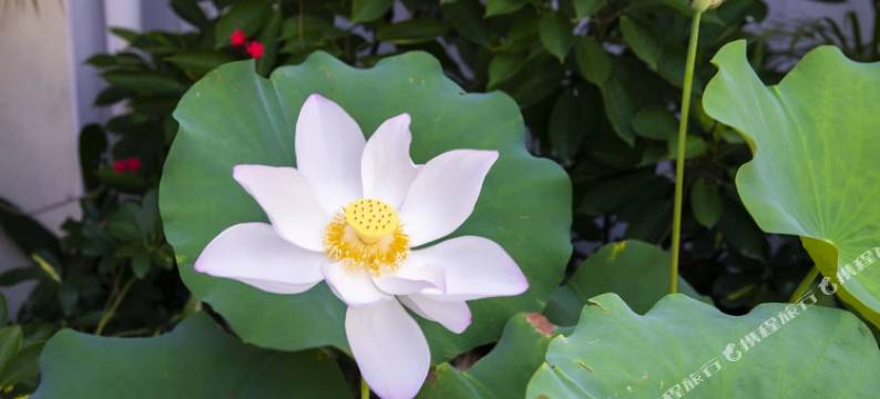 营山华亿酒店图片