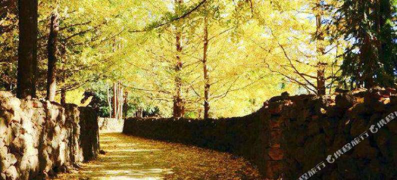 腾冲极边金林缘客栈图片