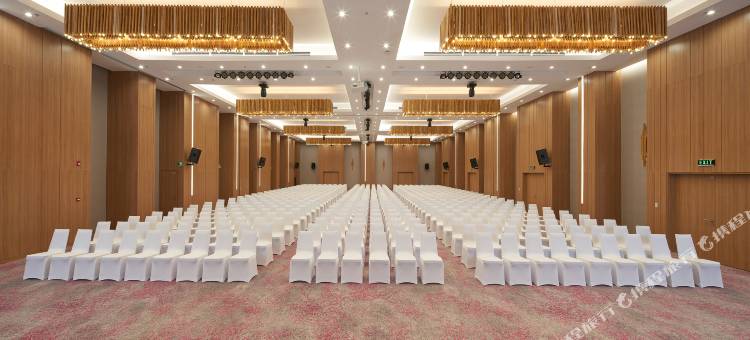 西贡机场假日套房酒店(Holiday Inn & Suites Saigon Airport)图片