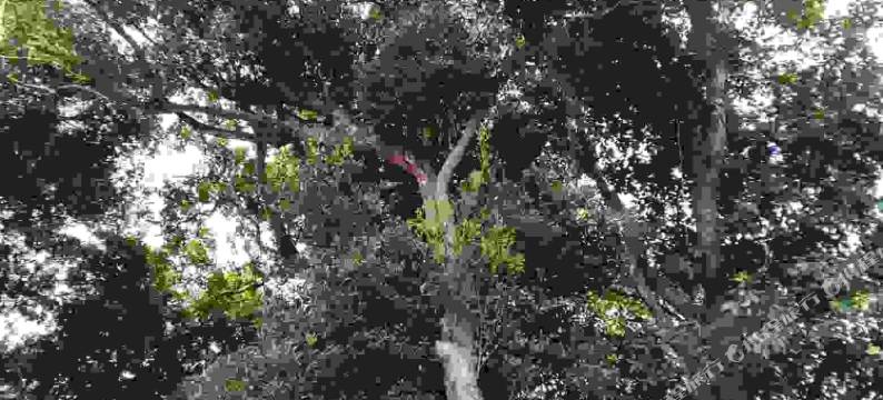 东兴苏堤客栈(万尾金滩店)图片