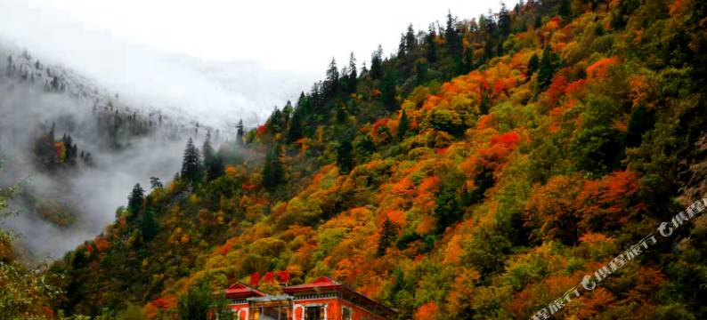黑水醉枫楼民宿图片