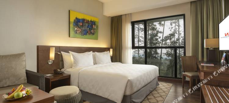 达戈传承瑞士贝尔度假村(Swiss-Belresort Dago Heritage)图片