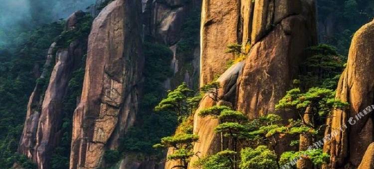 三清山天龙酒店(外双溪游客中心店)图片