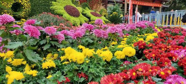 如家商旅酒店(济南趵突泉大明湖店)图片