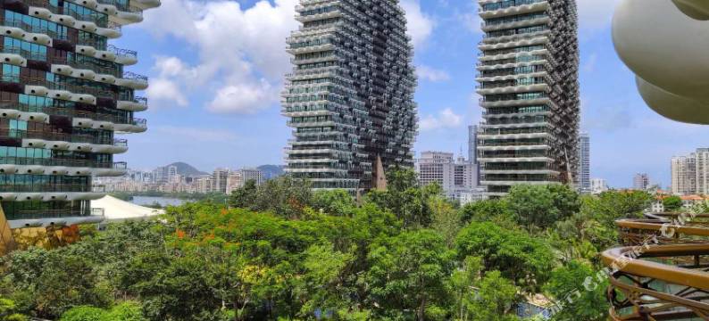 三亚大树公馆美丽度假公寓(美丽之冠店)101(5号店)图片