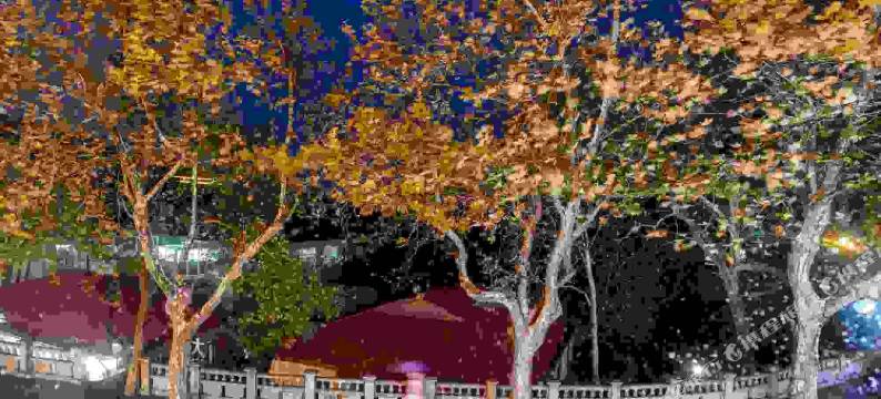 庐山漫云轻居酒店图片