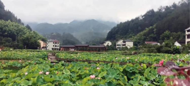 丽水畲湘情怀农家乐图片