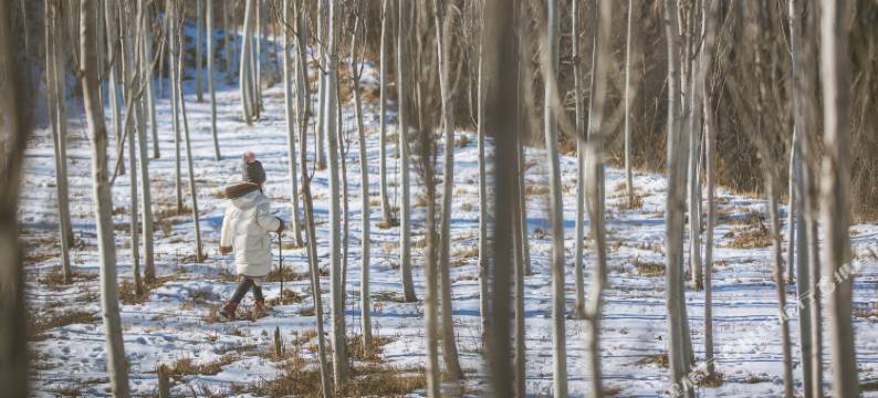 北京大隐于世·净隐南山民宿图片
