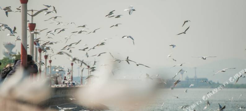 昆明美成city酒店图片