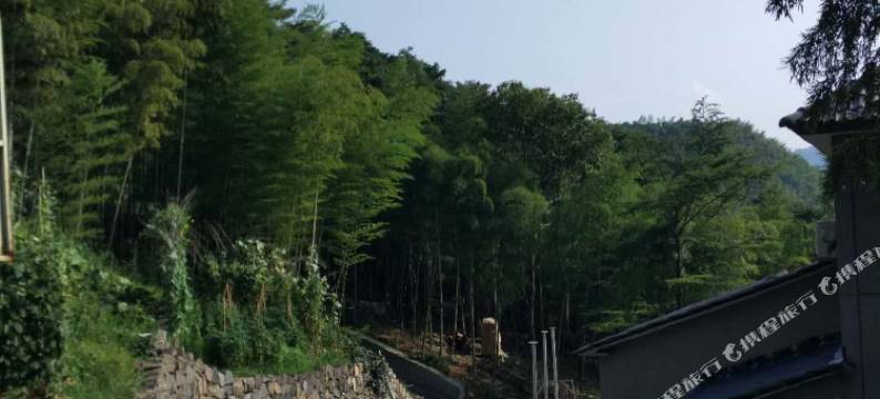 安吉静爽农家乐图片