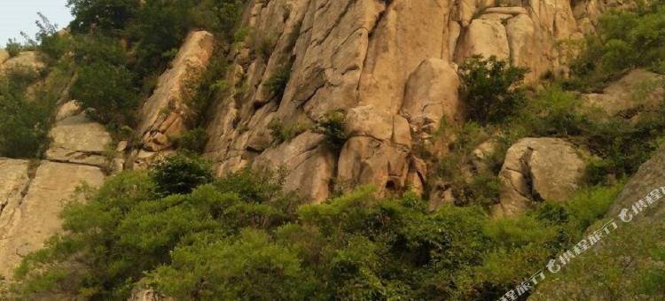 青岛御景名都酒店图片