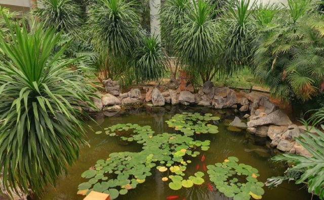 Rushan International Hotel Over view