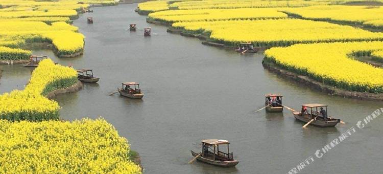 左岸·轻居酒店(泰兴万达吾悦广场店)图片