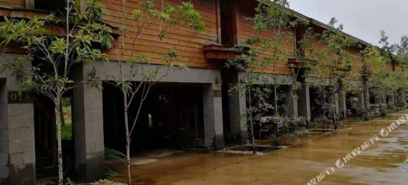 雷州天成台旅游度假村图片