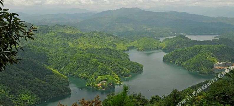 上犹柒加壹酒店(县政府店)图片