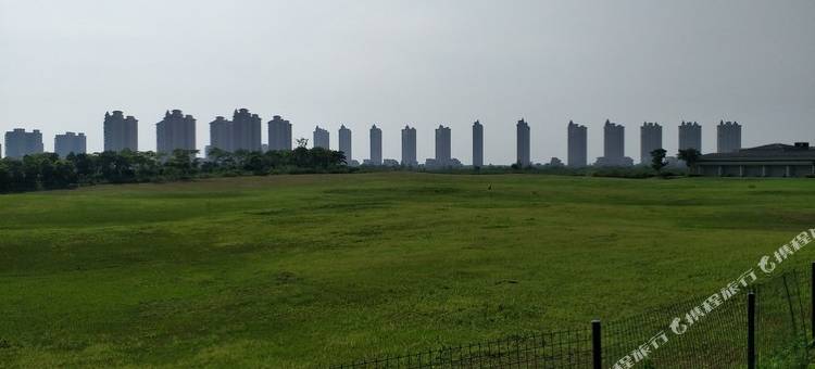 上海大川葡萄公寓图片