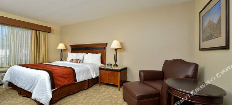 丹佛市西南贝斯特韦斯特酒店(Best Western Denver Southwest)图片