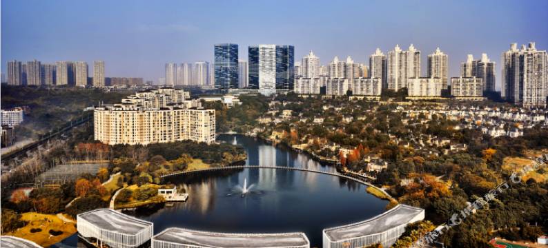 重庆珊顿国际公寓酒店(棕榈泉国际中心店)图片