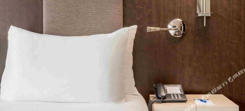 斯蒂芬妮酒店(NH Brussels Stephanie)图片