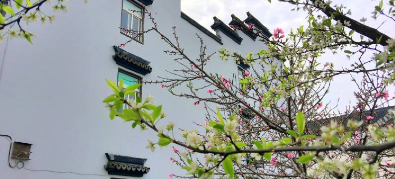 乌镇桃园客栈图片