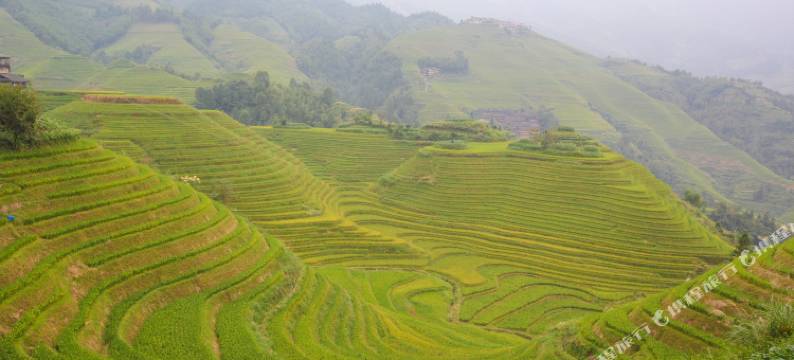 龙脊梯田星耀酒店图片