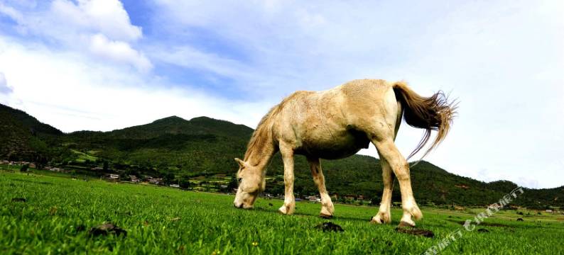 宁蒗祖母家园住宿图片