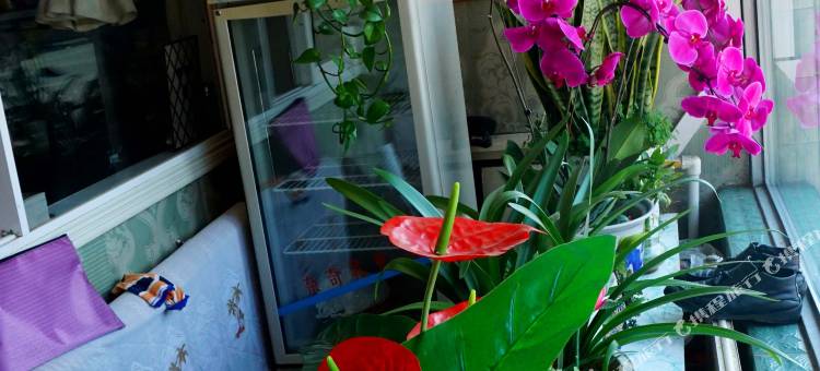 桦甸爱意时尚旅馆图片