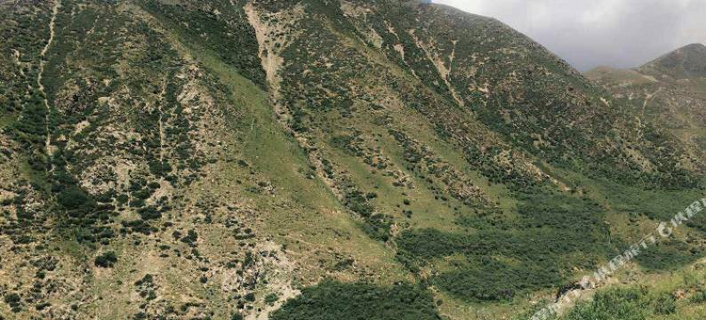 湟源元晟商务宾馆图片